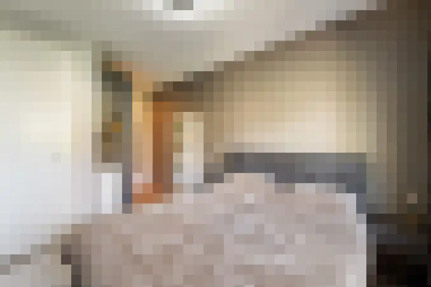 Pasteurhage 22 Emmeloord thumbnail 36