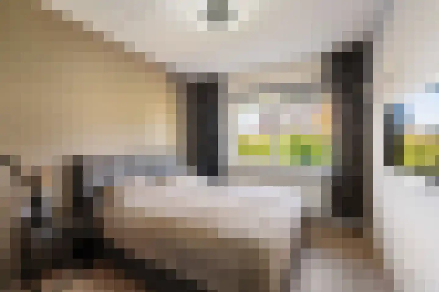 Pasteurhage 22 Emmeloord thumbnail 37
