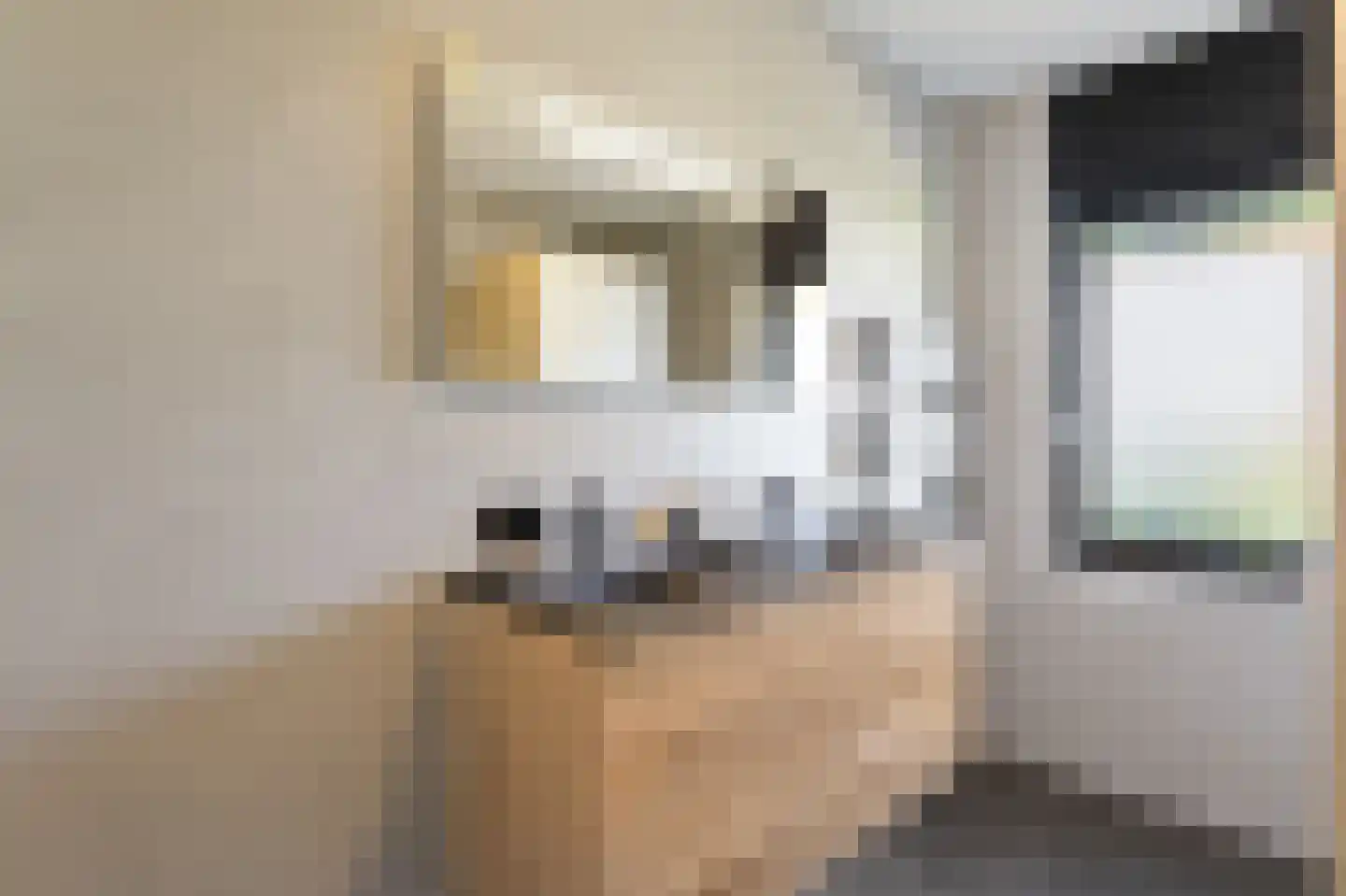 Pasteurhage 22 Emmeloord thumbnail 42