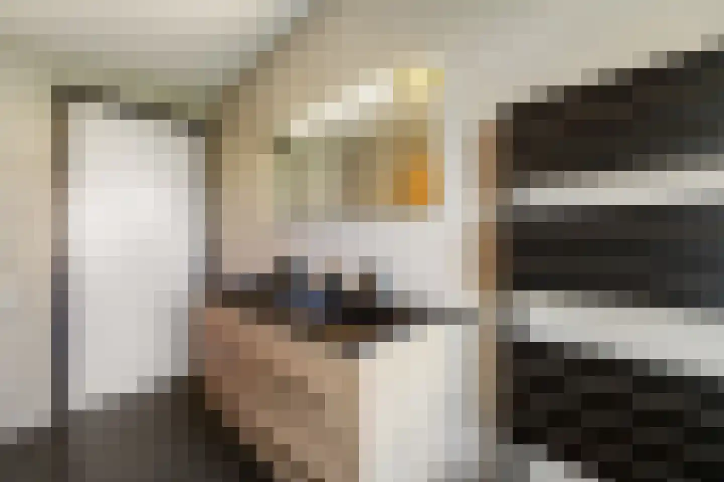Pasteurhage 22 Emmeloord thumbnail 43
