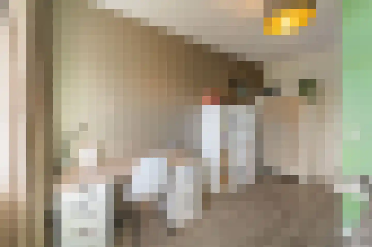 Pasteurhage 22 Emmeloord thumbnail 49
