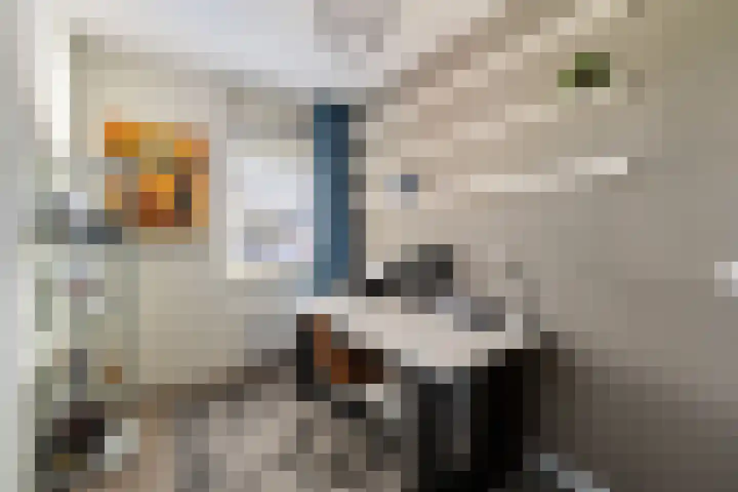Pasteurhage 22 Emmeloord thumbnail 50