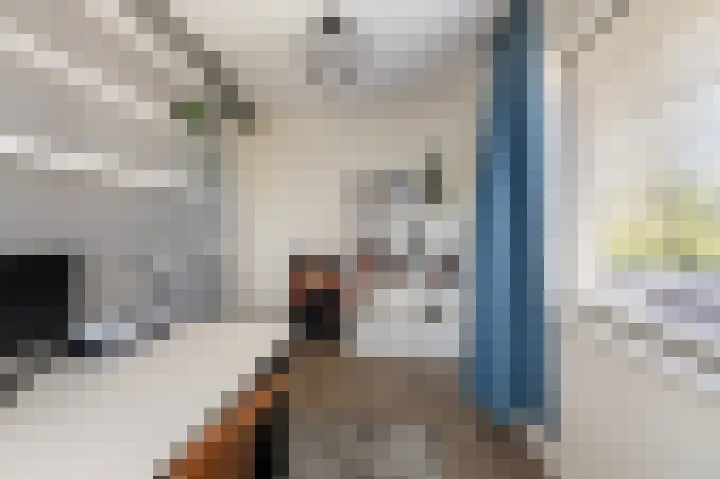 Pasteurhage 22 Emmeloord thumbnail 52