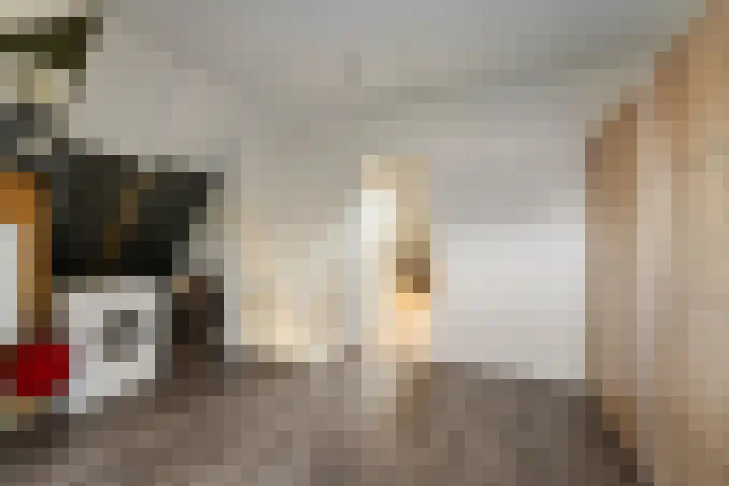 Pasteurhage 22 Emmeloord thumbnail 54