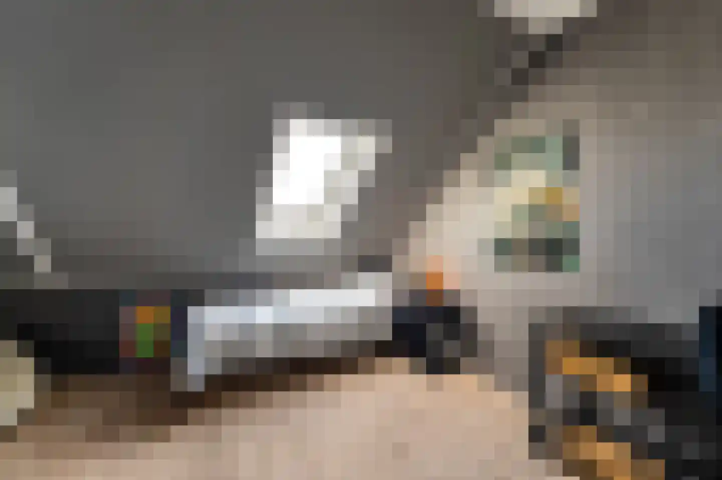 Pasteurhage 22 Emmeloord thumbnail 56