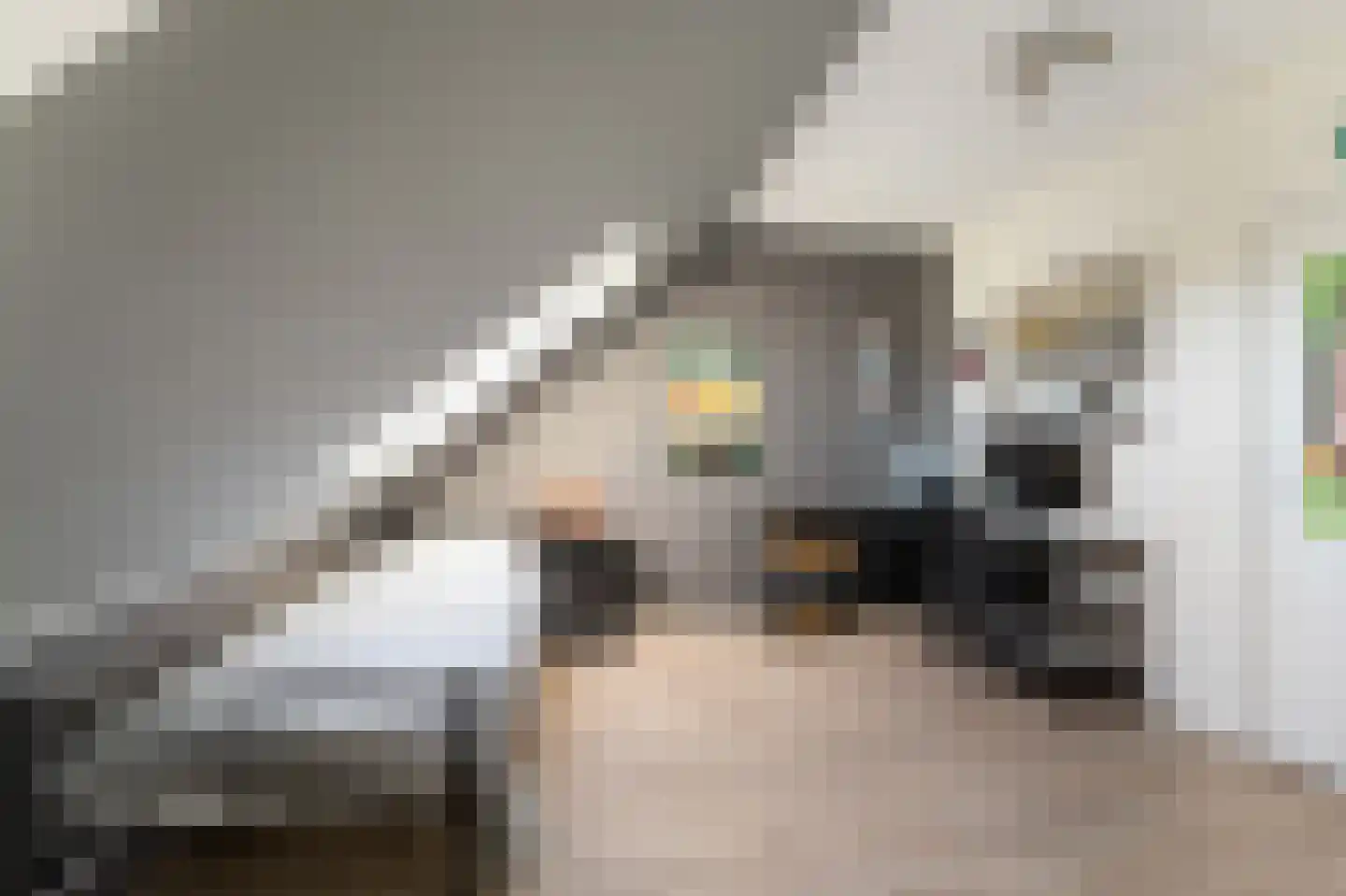 Pasteurhage 22 Emmeloord thumbnail 58