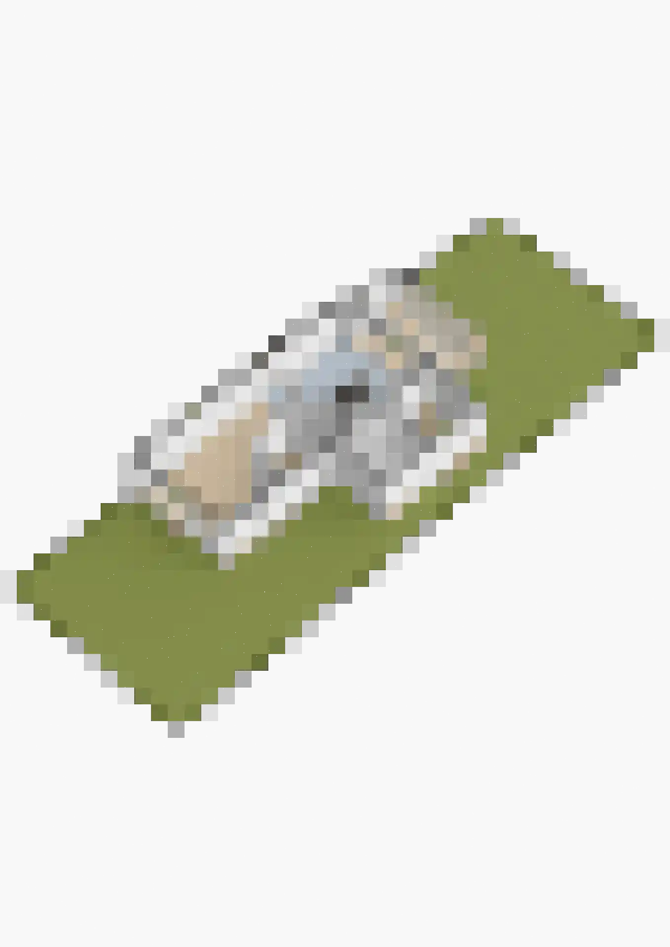 Pasteurhage 22 Emmeloord thumbnail 68