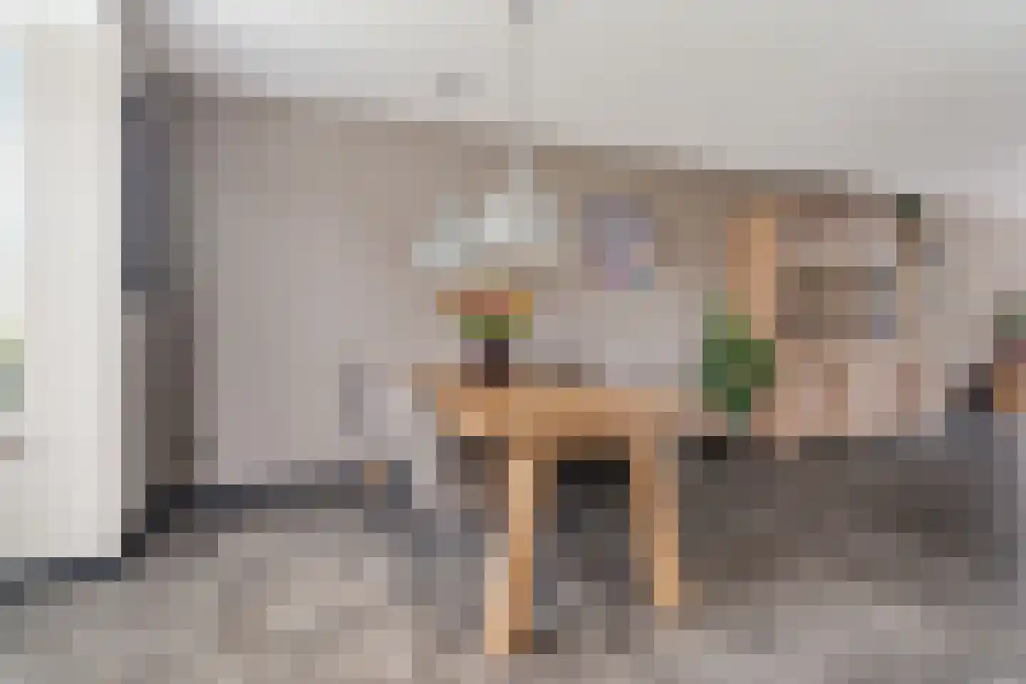 Pasteurhage 26 Emmeloord thumbnail 18