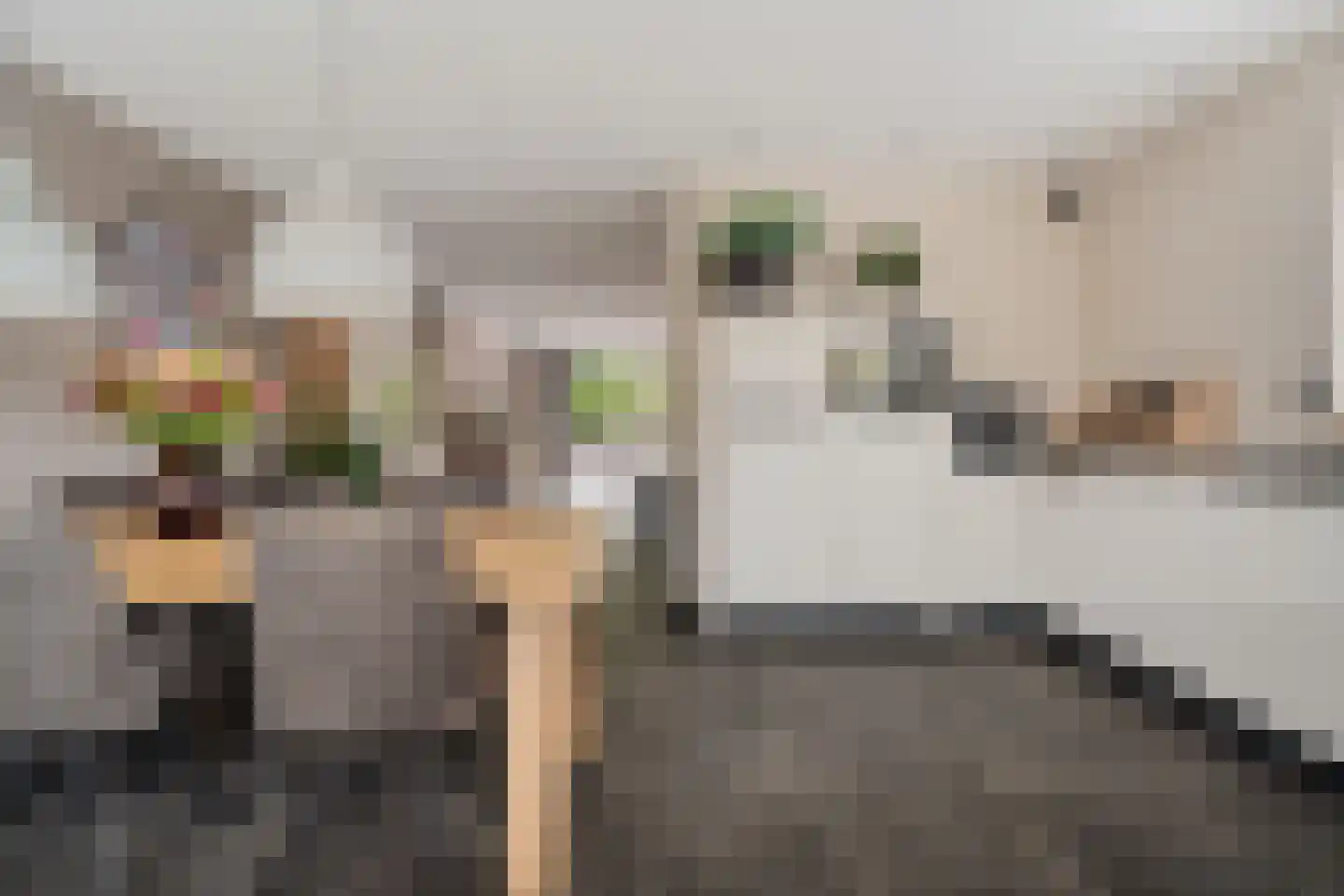 Pasteurhage 26 Emmeloord thumbnail 23