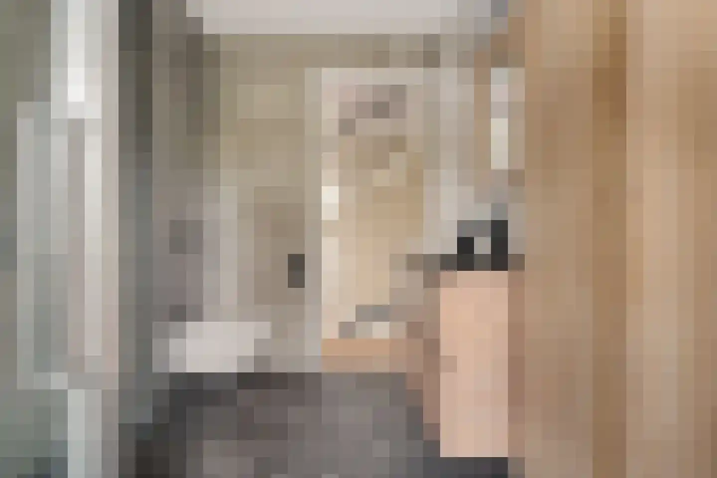 Pasteurhage 26 Emmeloord thumbnail 37