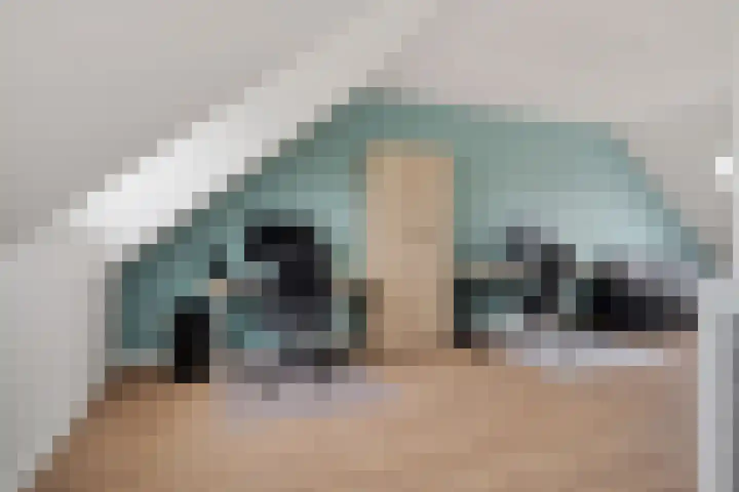 Pasteurhage 26 Emmeloord thumbnail 41