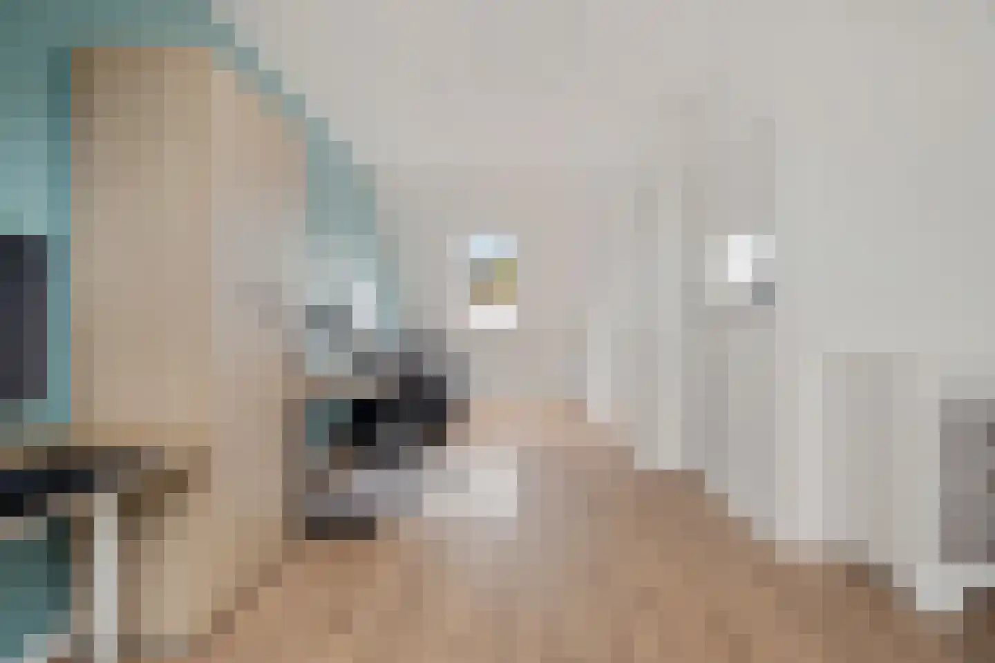Pasteurhage 26 Emmeloord thumbnail 42