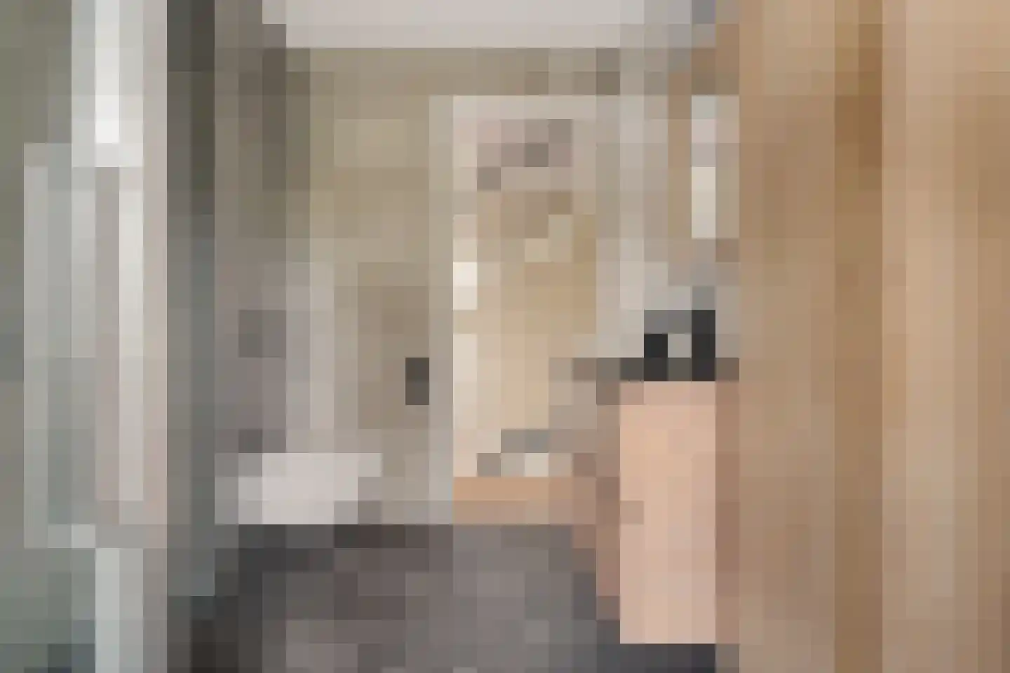 Pasteurhage 26 Emmeloord thumbnail 5