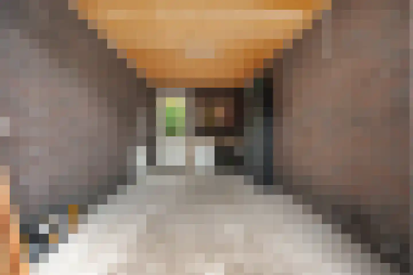 Pasteurhage 26 Emmeloord thumbnail 50