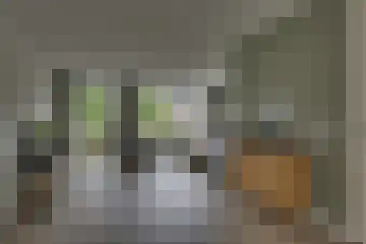 Pasteurhage 7 Emmeloord thumbnail 11