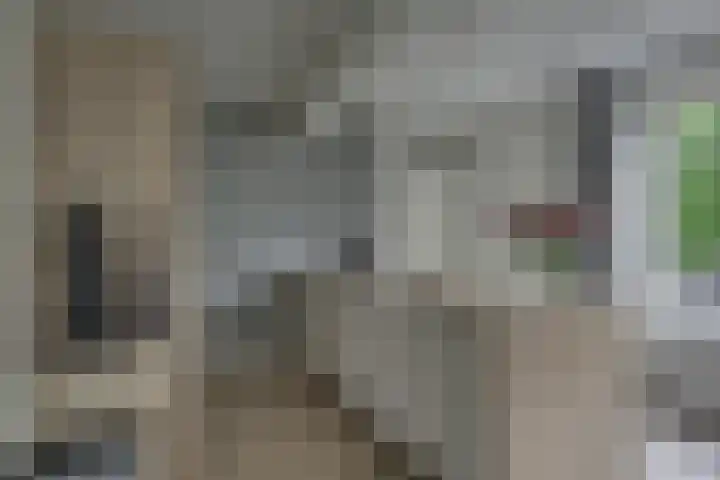 Pasteurhage 7 Emmeloord thumbnail 14