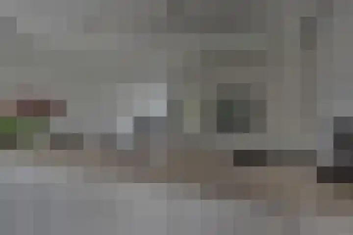 Pasteurhage 7 Emmeloord thumbnail 15