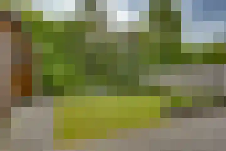 Pasteurhage 7 Emmeloord thumbnail 17