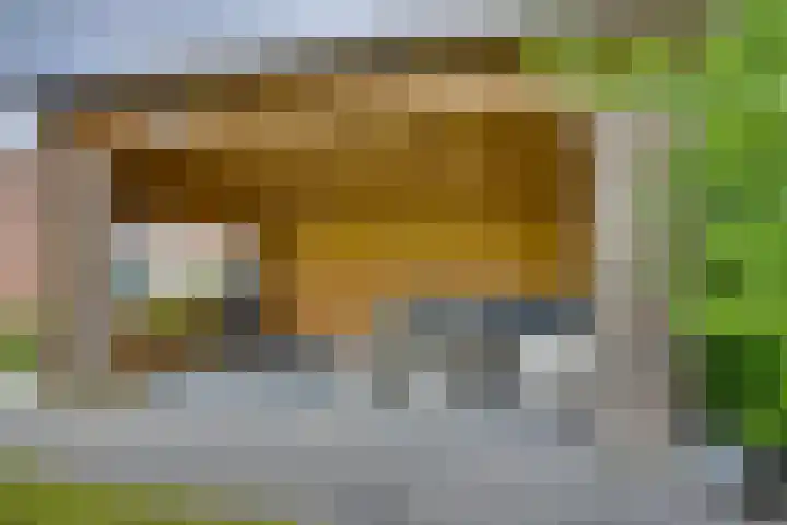 Pasteurhage 7 Emmeloord thumbnail 20