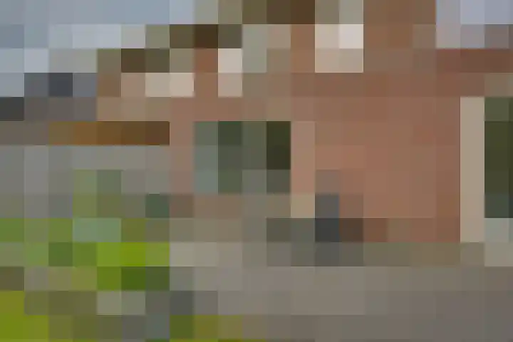 Pasteurhage 7 Emmeloord thumbnail 22