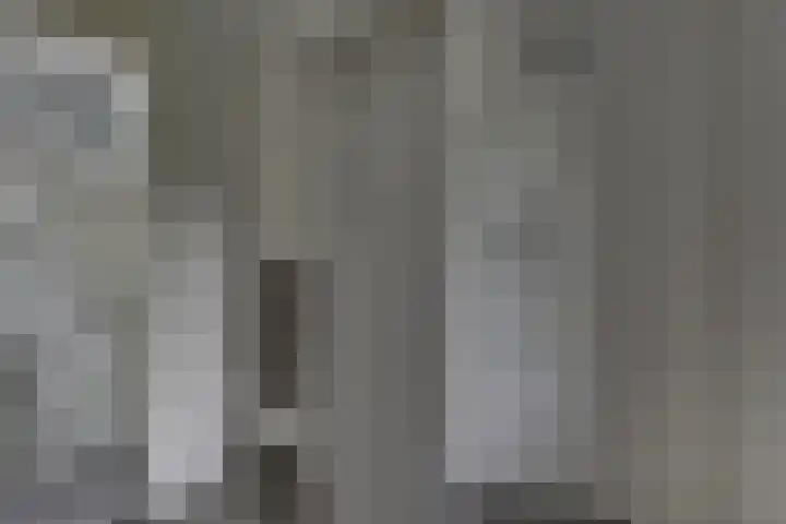 Pasteurhage 7 Emmeloord thumbnail 26