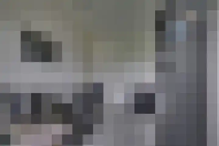 Pasteurhage 7 Emmeloord thumbnail 31