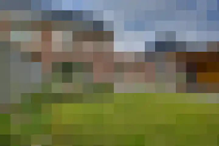 Pasteurhage 7 Emmeloord thumbnail 4