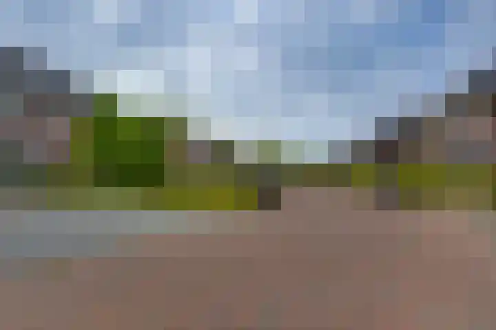 Pasteurhage 7 Emmeloord thumbnail 5