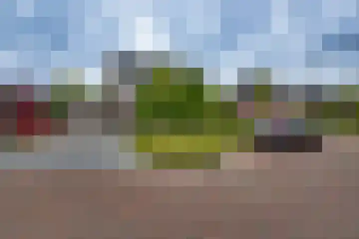 Pasteurhage 7 Emmeloord thumbnail 6