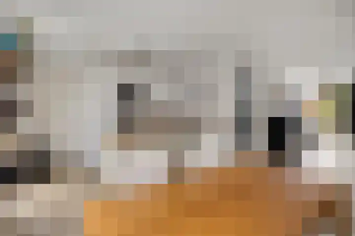 Pasteurhage 9 Emmeloord thumbnail 11