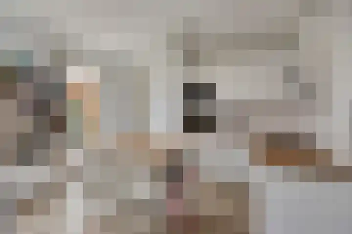 Pasteurhage 9 Emmeloord thumbnail 12