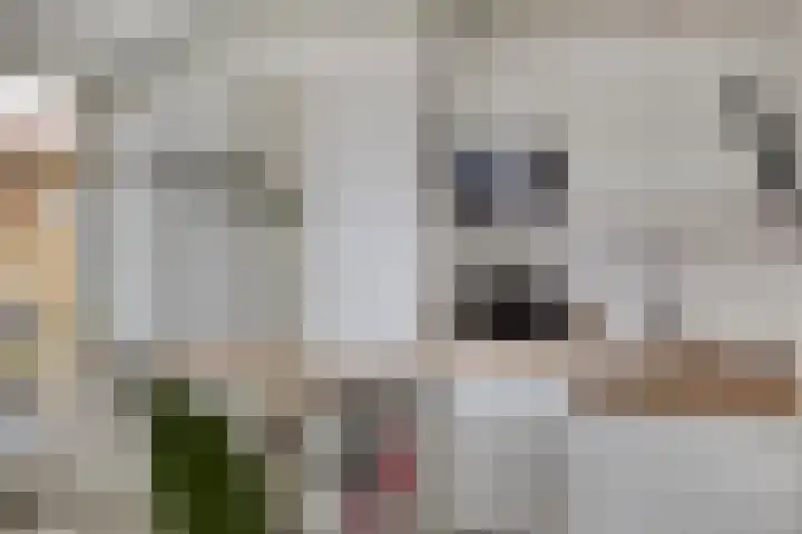 Pasteurhage 9 Emmeloord thumbnail 15