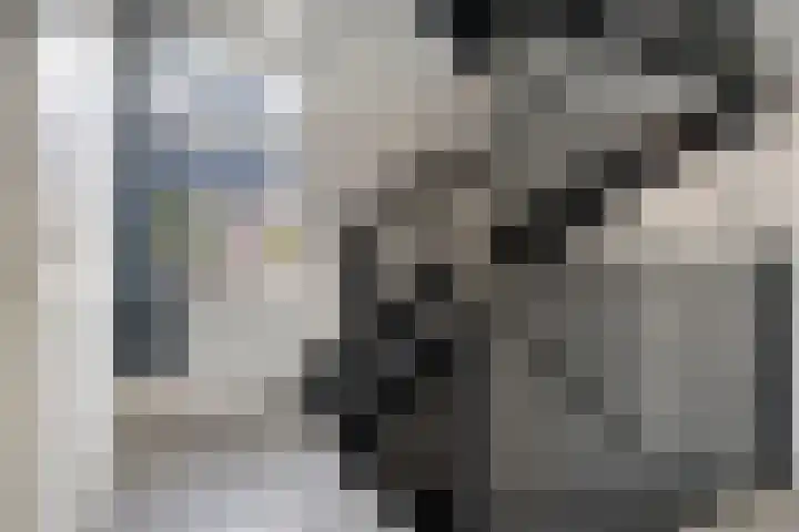 Pasteurhage 9 Emmeloord thumbnail 17