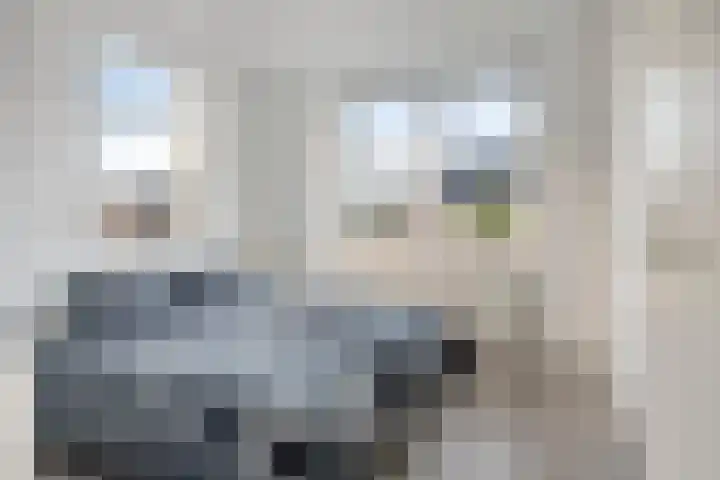 Pasteurhage 9 Emmeloord thumbnail 23