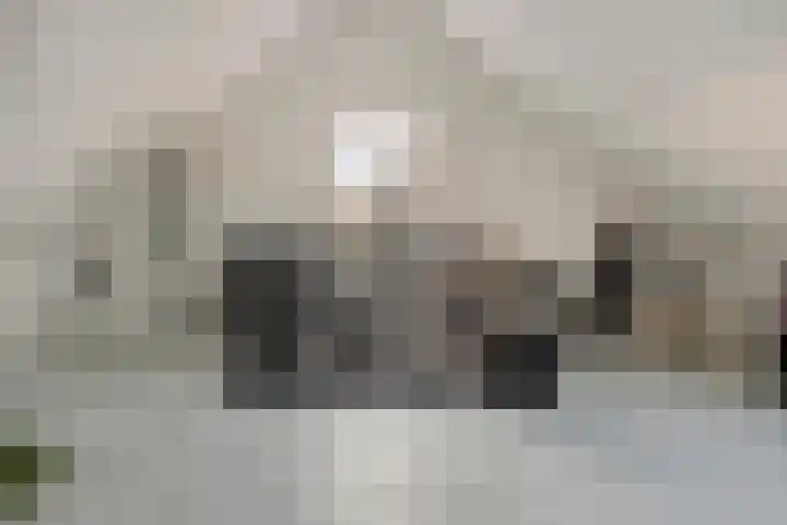 Pasteurhage 9 Emmeloord thumbnail 26