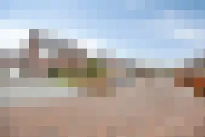 Pasteurhage 9 Emmeloord thumbnail 35