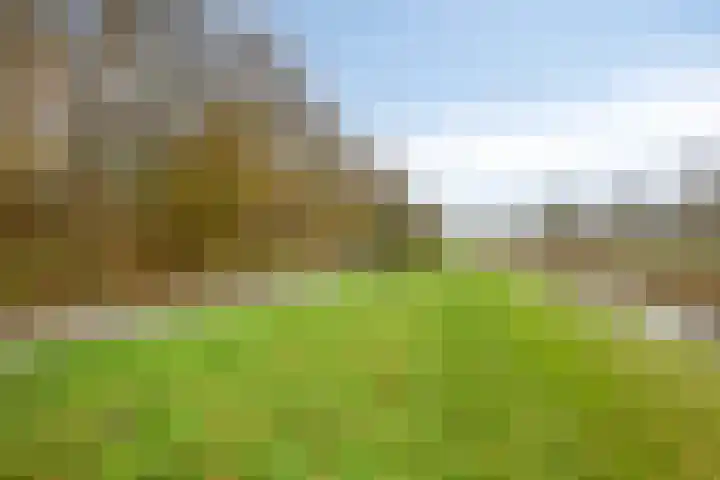 Pasteurhage 9 Emmeloord thumbnail 36