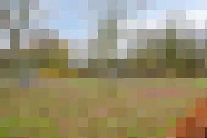 Pasteurhage 9 Emmeloord thumbnail 38