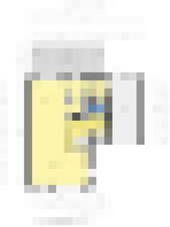 Pasteurhage 9 Emmeloord thumbnail 39