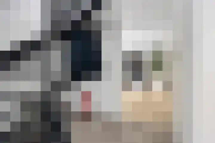 Pasteurhage 9 Emmeloord thumbnail 5
