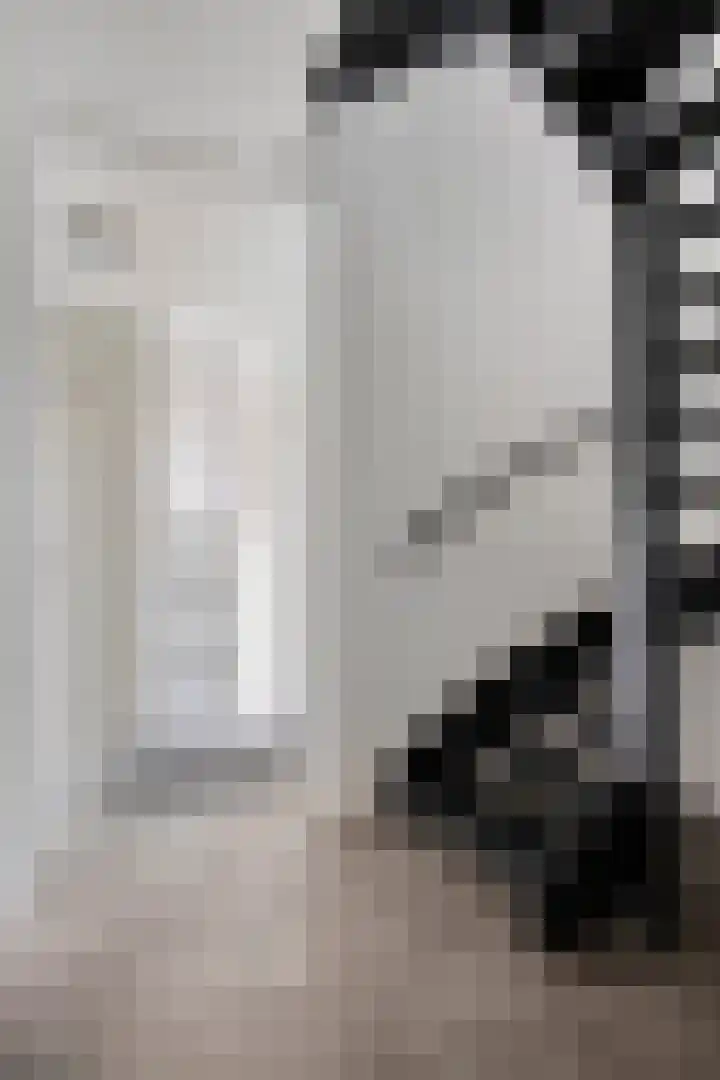 Pasteurhage 9 Emmeloord thumbnail 6