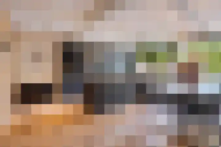 Pasteurlaan 116 Eindhoven thumbnail 16