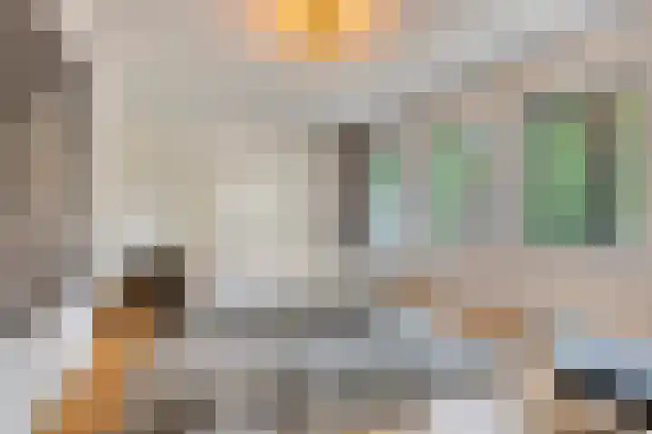 Pasteurlaan 116 Eindhoven thumbnail 28