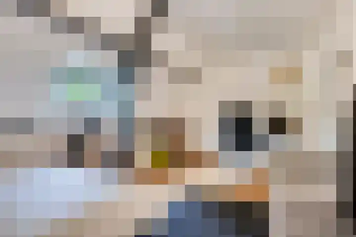 Pasteurlaan 116 Eindhoven thumbnail 38