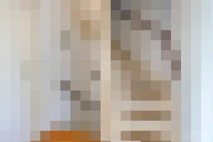 Pasteurlaan 16 Vlijmen thumbnail 12