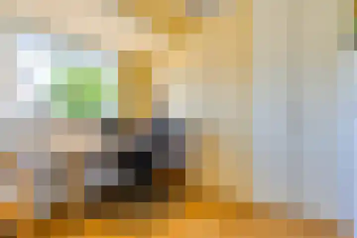 Pasteurlaan 16 Vlijmen thumbnail 16