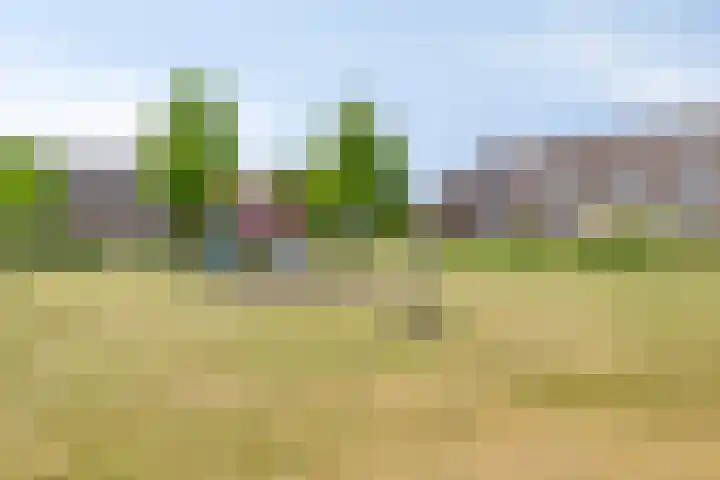 Pasteurlaan 16 Vlijmen thumbnail 28