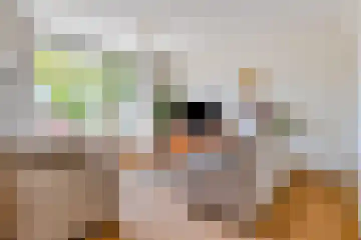 Pasteurlaan 16 Vlijmen thumbnail 7