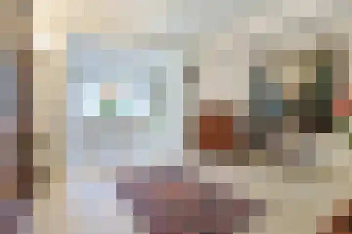 Pasteurlaan 17 Eindhoven thumbnail 13