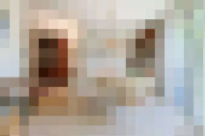 Pasteurlaan 17 Eindhoven thumbnail 17